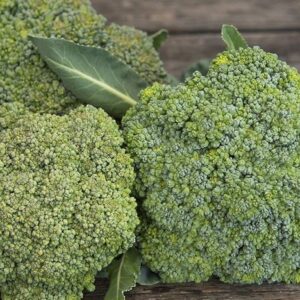 Broccoli Limba