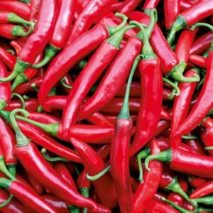 Chili Aciburun