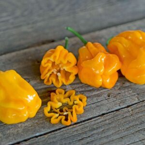Chili NuMex Suave