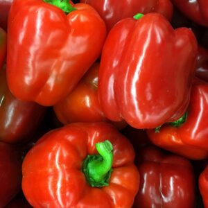 Block-Peperoni Quadrato d'Asti Rosso