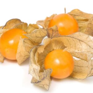 Physalis orange Frucht