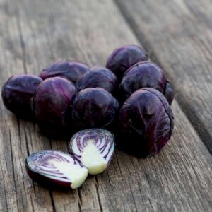 Violetter Rosenkohl Rokero
