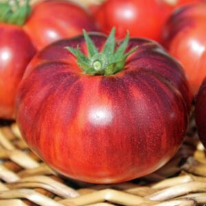 Fleischtomate Eye Candy