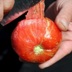 Schältomate Pera Tijola Almeira