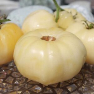 Fleischtomate Duggin White