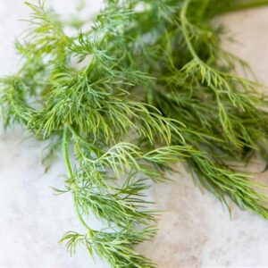 Dill Tetra