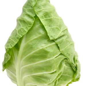 Spitzkohl Eersteling
