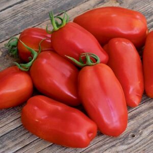 Saucentomate San Marzano