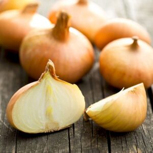 Zwiebel Stuttgarter Riesen